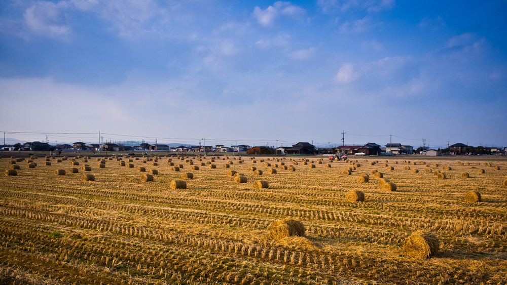 土地はどうするの？