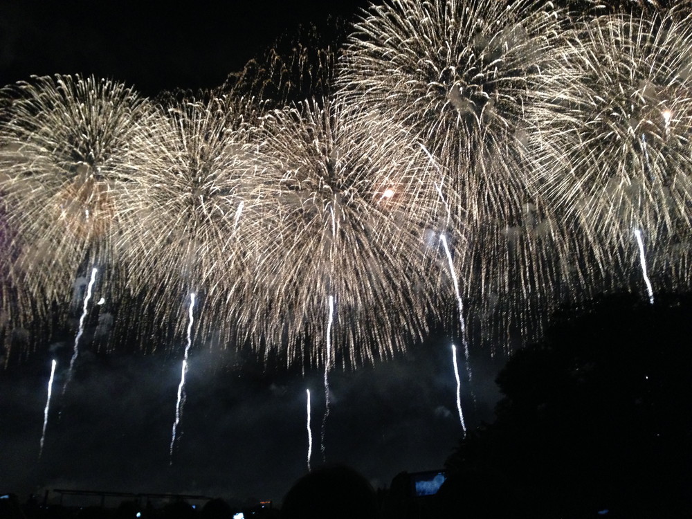 花火大会どこに行く？全国気になる情報＆花火が夏の風物詩である理由