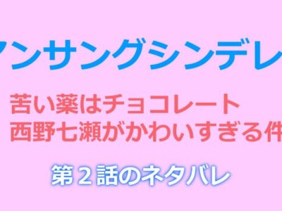 アンサングシンデレラ２話のネタバレ