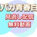 親バカ青春白書の見逃し配信